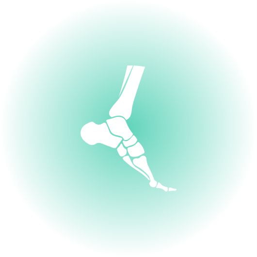 Foot & Ankle