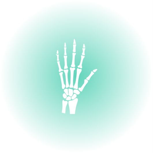 Hand And Wrist